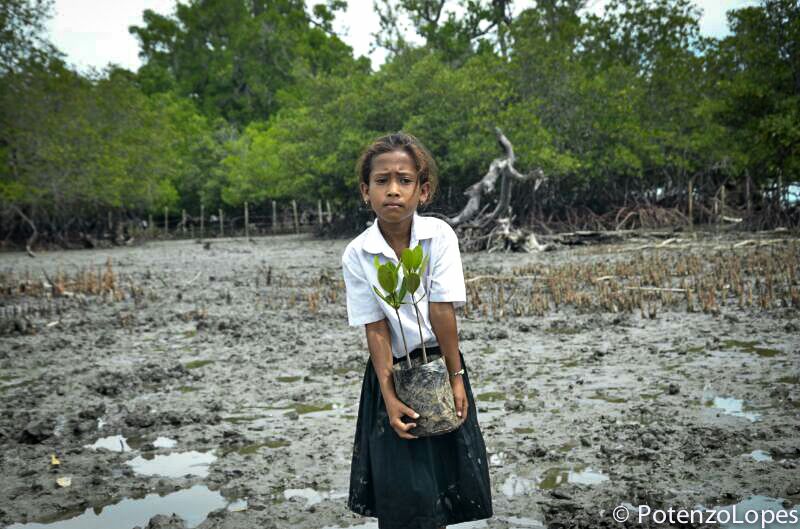 Mädchen mit Mangrove. Foto Potenzo Lopes