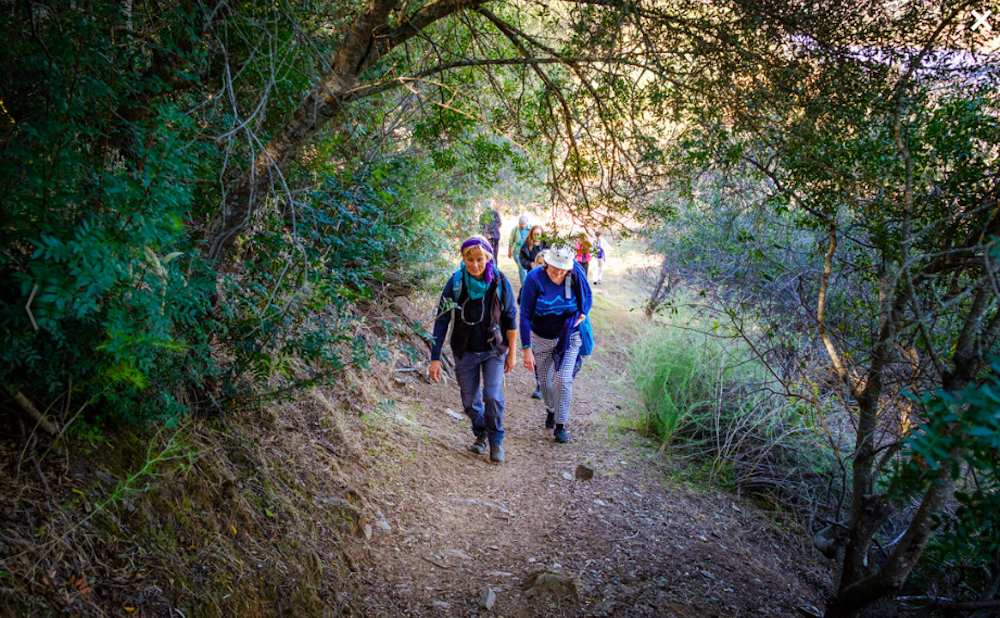 Zwei Frauen wandern auf einem Waldweg in Portugal