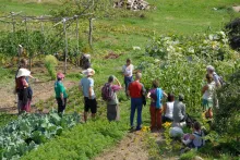 Zirka ein Dutzend Personen stehen bei Sonnenschein in einem Permakultur-Garten und hören einer Person zu