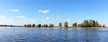 Foto: Christa Dregger. Blessgänse über der Elbe