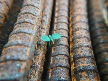 «Hoffnung ist eine Qualität des Friedens.» Foto: Faris Mohammed