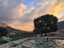 Abenddämmerung in Wadi Fukin, links Siedlung Beitar Illit, auf dem Hügel rechts Grenze zum Staat Israel, Siedlung Tsur Hadassa über die Grenze hinunter sich ausbreitend. Wasserbecken, immer häufiger baden Siedler-Jugendliche darin und stören den ungehinderten Zugang zu den Feldern ringsum im Tal. (Bild von © Helga Merkelbach)