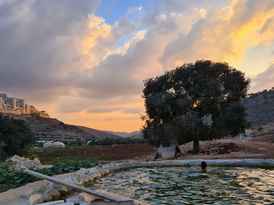 Abenddämmerung in Wadi Fukin, links Siedlung Beitar Illit, auf dem Hügel rechts Grenze zum Staat Israel, Siedlung Tsur Hadassa über die Grenze hinunter sich ausbreitend. Wasserbecken, immer häufiger baden Siedler-Jugendliche darin und stören den ungehinderten Zugang zu den Feldern ringsum im Tal. (Bild von © Helga Merkelbach)